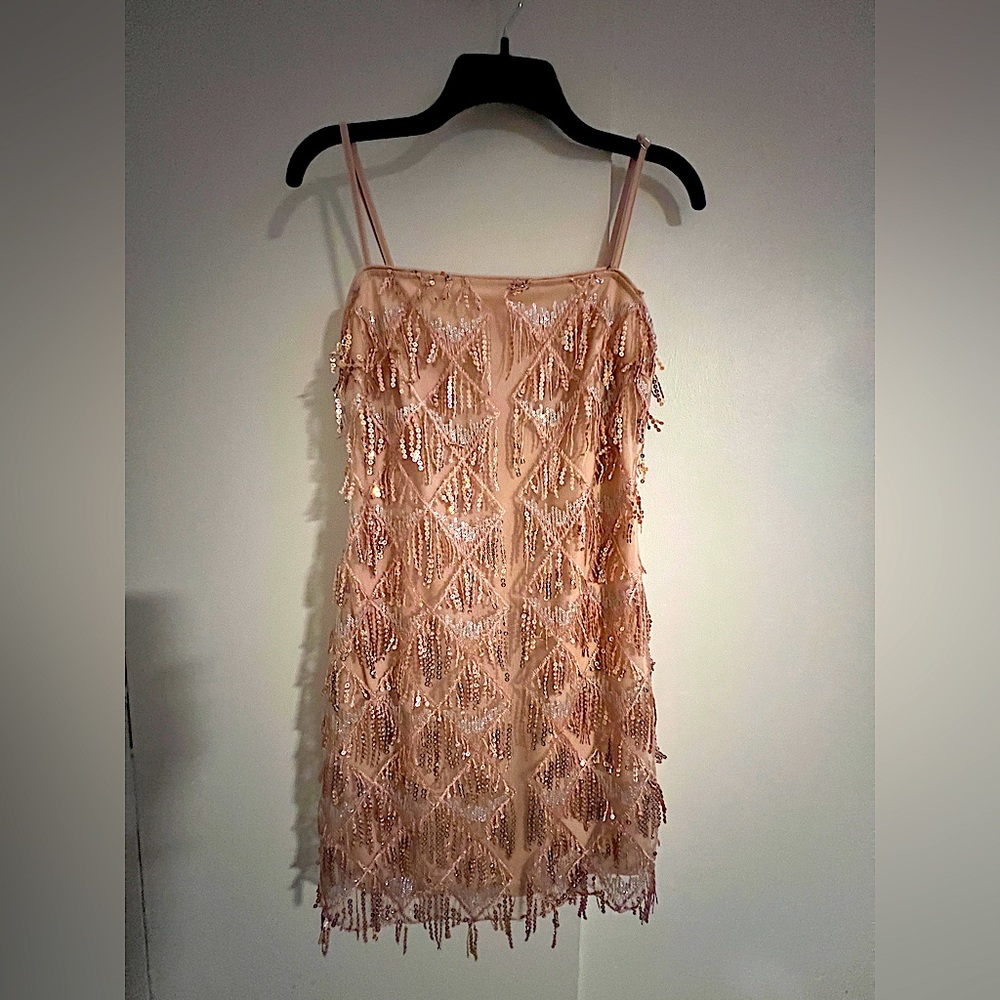Jillumi Pink Sequin Fringe Dress